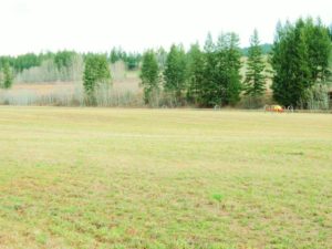 Marguerite Ranch 12