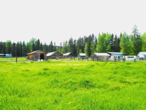 Quesnel Cattle Ranch