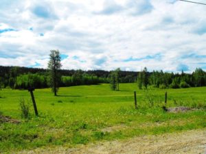 Quesnel Cattle Ranch