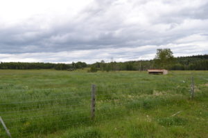 172 Acre Farm 3049 Peterson Road