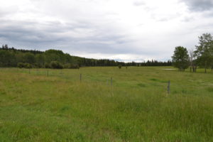 172 Acre Farm 3049 Peterson Road