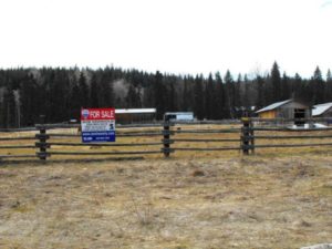 Quesnel Cattle Ranch