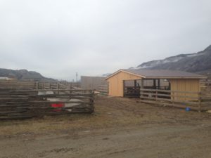 Monte Creek Acreage