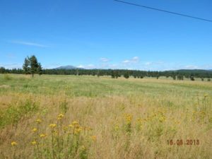 6629 Sidley Mountain Road