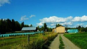 West Quesnel Cattle Ranch