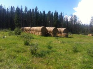 Dean RIver Road Ranch