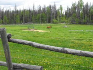 West Quesnel Cattle Ranch