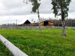 West Quesnel Cattle Ranch