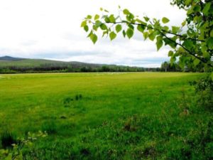 Wwest Quesnel Cattle Ranch