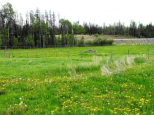 West Quesnel Cattle Ranch