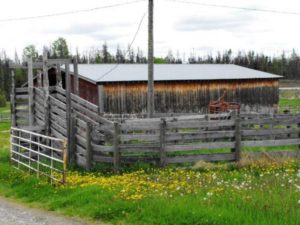 West Quesnel Cattle Ranch