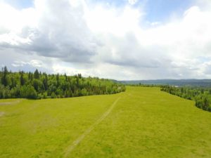 505 New Dale Road RST Ranch