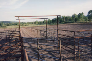 Pink Mountain Ranch