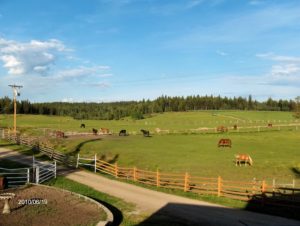 Minton Creek Ranch