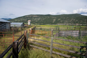 Jamieson Creek Ranch