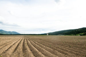 Jamieson Creek Ranch