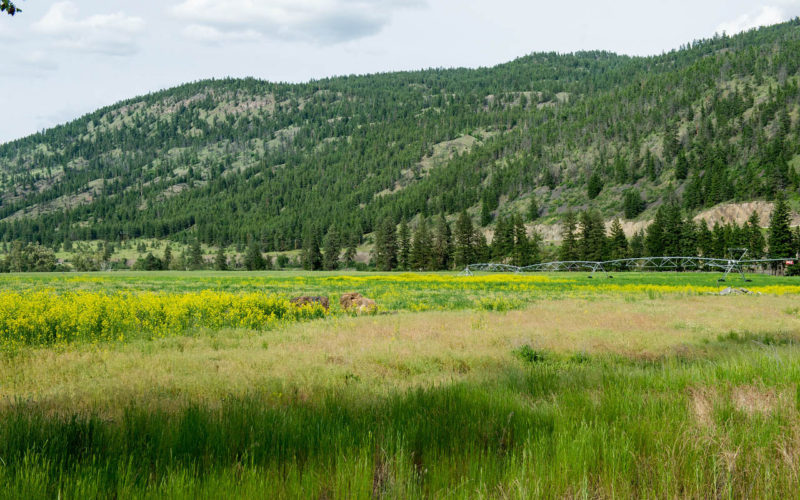 Jamieson Creek Ranch