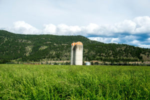 Jamieson Creek Ranch