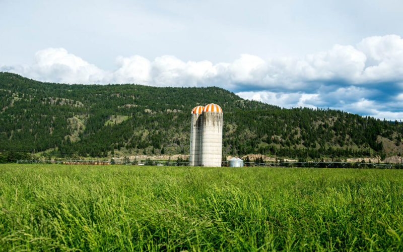 Jamieson Creek Ranch
