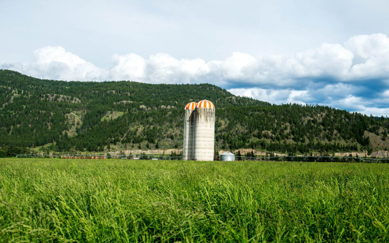 Jamieson Creek Ranch