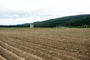 Jamieson Creek Ranch