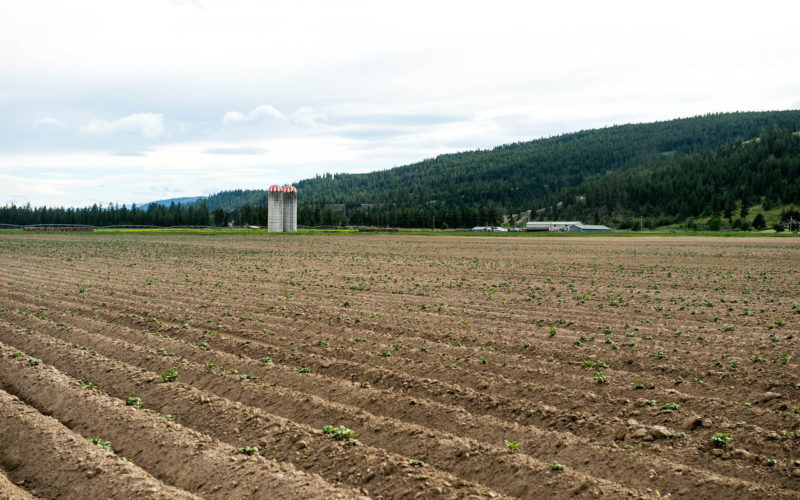 Jamieson Creek Ranch