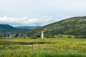 Jamieson Creek Ranch