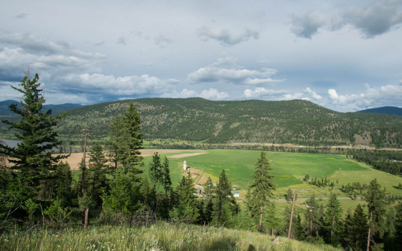 Jamieson Creek Ranch