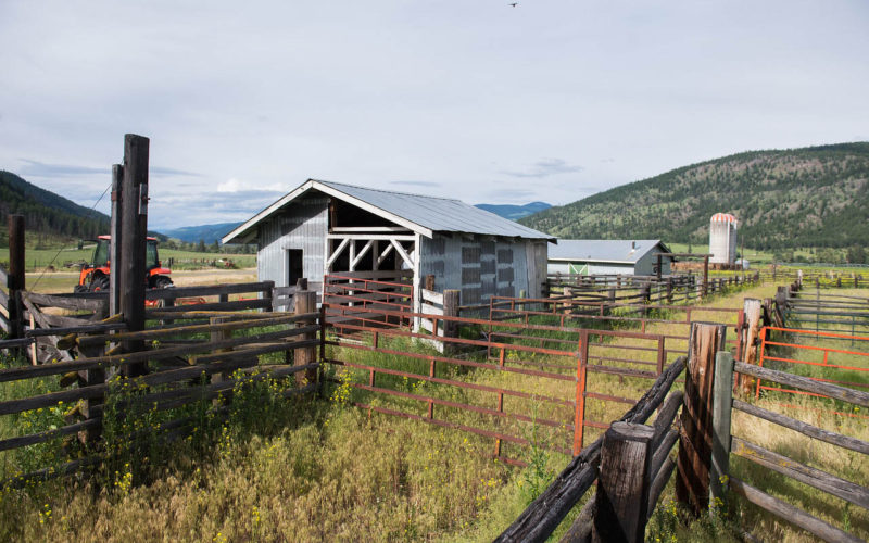 Jamieson Creek Ranch