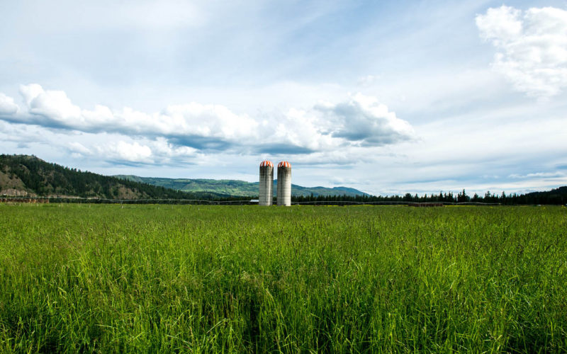 Jamieson Creek Ranch