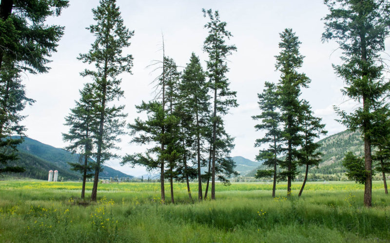 Jamieson Creek Ranch