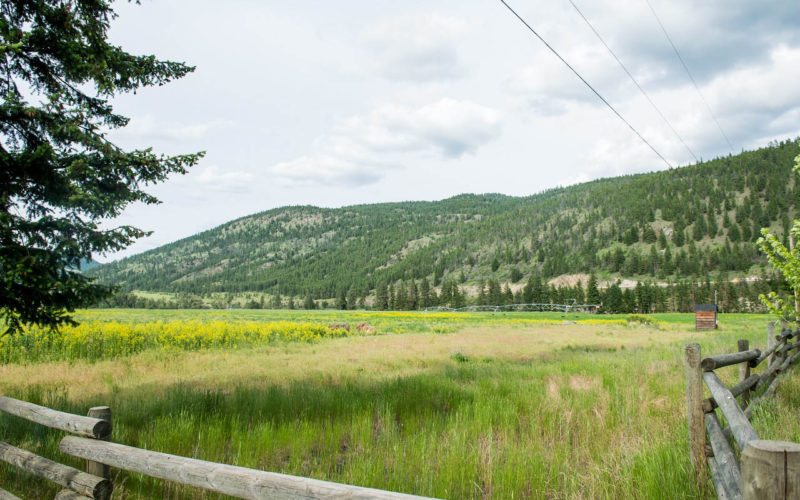 Jamieson Creek Ranch