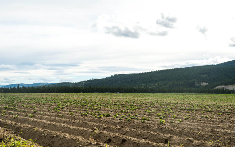 Jamieson Creek Ranch