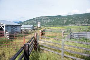 Jamieson Creek Ranch