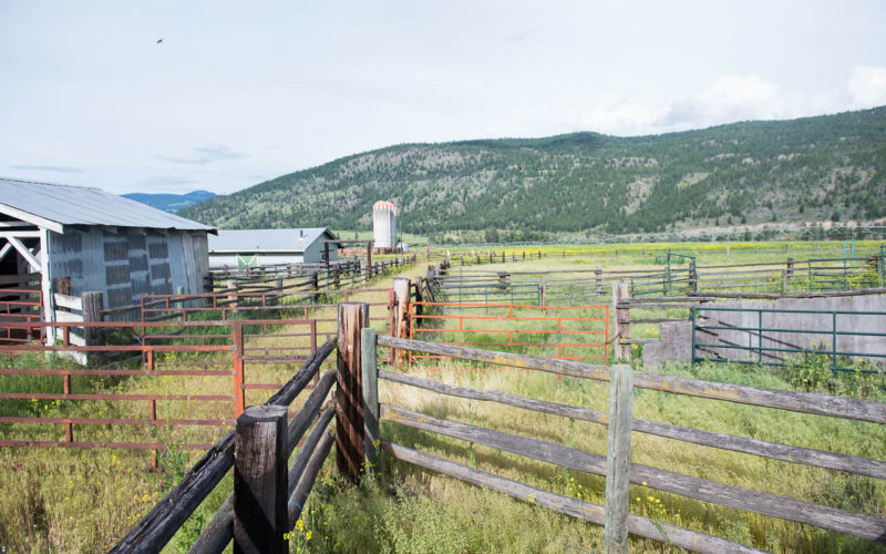 Jamieson Creek Ranch