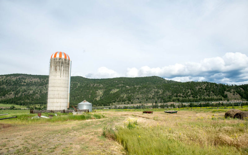 Jamieson Creek Ranch