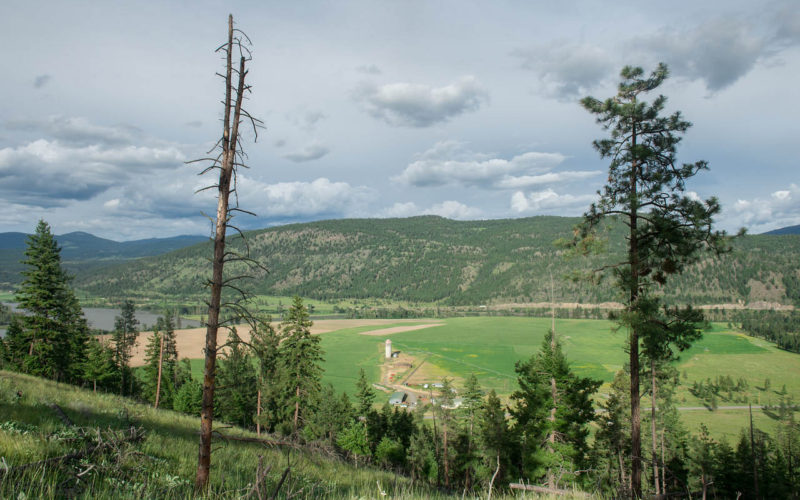 Jamieson Creek Ranch