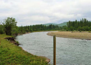 Pink Mountain Ranch