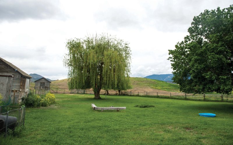 Bar M Ranch