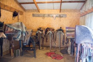 Bar M Ranch