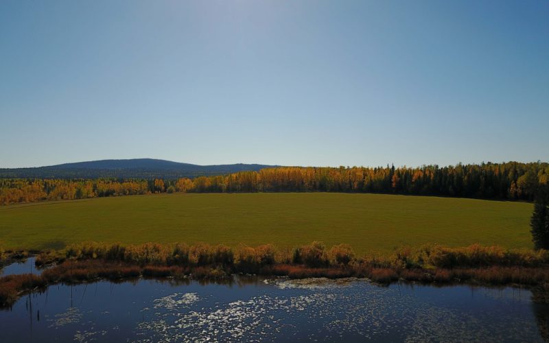 Miocene Ranch Ltd.