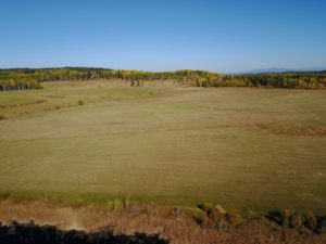 Miocene Ranch Ltd.