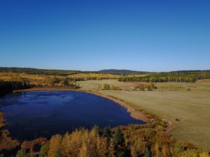 Miocene Ranch Ltd.