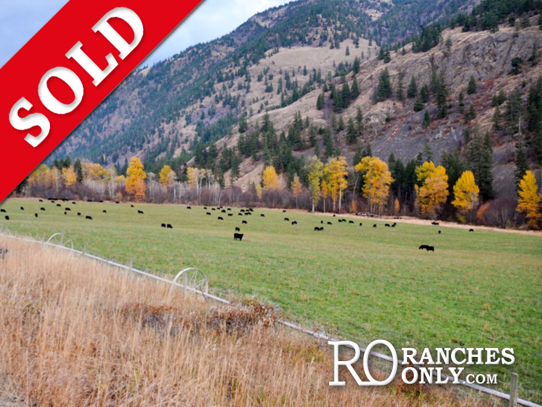 SOLD Wayhome Ranch >Olalla, BC | 212 Acres | High Producing Cattle Operation | 2 Residences | 50×80 Dream Shop | Cattle Handling System | 6 Stall Horse Barn