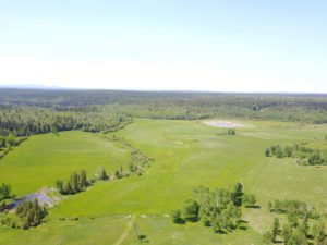 Carpenter Mountain Ranch 2018