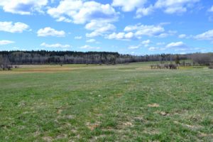 Carpenter Mountain Ranch 2018