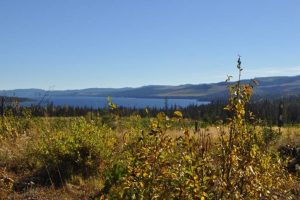 Sharpe Lake Ranch