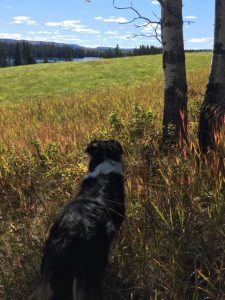 Sharpe Lake Ranch