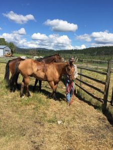 Sharpe Lake Ranch