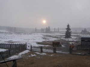 Guichon Creek Ranch